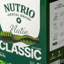 쌀강아지 이미지