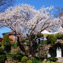 공세리농장 티스토리