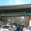 인제1공원 이미지