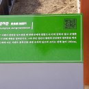 양갑주유소 이미지