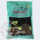 옥이텃밭 이미지