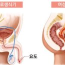 네이처비뇨의학과의원 이미지