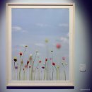 봄날, 테레사 프레이타스 사진전 : Springtime Delight&gt; 전시 관람 후기 및 인증샷 업로드 (미션 2 - 2)