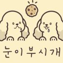 오송애견 이미지