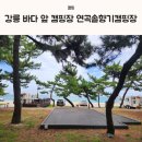 솔향기 | 강릉 바다 앞 캠핑장 연곡솔향기캠핑장 예약 명당 B존 후기