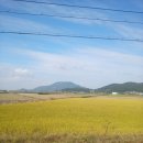 3014 | 강화대교점 화목칼국수 강화도 마니산 닭강정 내돈내산 후기