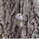 다람쥐공원 이미지