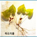 불갑사 산림박물관 이미지