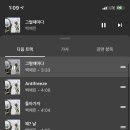 이솔디
