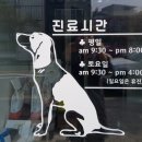 용마동물병원 이미지