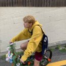 해피베이비 이미지