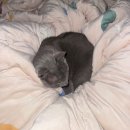 11650-17-203-12 | 밀린 12월 일상 모음