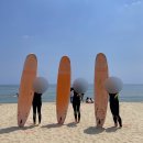 매직카펫라이드서프 | <양양 여행> 수영 못하는 내가 서핑 탄 후기🫶🏻 :: 양양서핑 인구해수욕장서핑 매직카펫라이드 서프