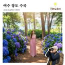 충주박씨열려문 | 여수 장도, 7월 수국 여행 전남 가볼만한곳 물때 카페 주차장 이용정보