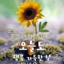 성심세차장 이미지