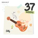 11545-12-37-30 | [임신기록] 임신일기 임신말기 임신후기증상 임신 37주차 태동검사후기