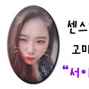 주식회사 지와이워시 이미지