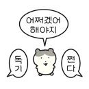송원온누리약국 이미지