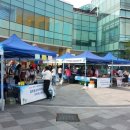 기능성머쉬 이미지