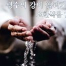 생수의강 이미지