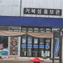 팀크레모아 | 경기도 시흥시 여행 가성비있는 아이와 가볼만한곳 거북섬 레이저 서바이벌