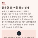 밥풀릭스(BAPULIX) 네이버블로그