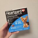 하나가축약품 | 강아지 심장사상충약 저렴한 서울대입구역 메가라운지 약국 추천 내돈내산