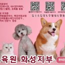 동물보육원 안산지부 이미지
