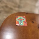 부산관광고 맞은편 이미지