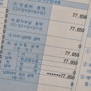 [2024-05] 꽃잎이 지기 전에