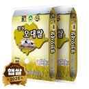 현대농산 - 강서구 강서로12길 5-15 | 현대농산