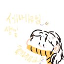 세베지 이미지