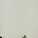 원호암5길 이미지