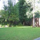 싼타모니카 이미지