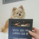 서문헬스클럽 이미지