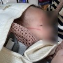 강성약국 | 포항여성병원 아동 일차의료 심층상담 후기(육아, 수면, 수유 상담)