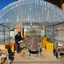 칠갑산산꽃마을영농조합법인 | 2026년 청양 알프스 마을 눈꽃축제 칠갑산 얼음분수 축제 식당, 준비물, 영유아 눈썰매 이용 후기