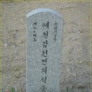 예천 감천면 석송령(천연기념물 제294호) 이미지