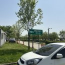 여주 캠핑장 이포보웰빙캠핑장 2024년 4월 재개장 방문후기 (18번사이트)