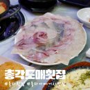 총각횟집 | 장유 횟집 추천 총각도매횟집 율하 횟집 방문후기