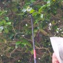 동백운수 이미지