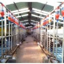 초방리 축사 이미지