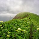 오렌지 골프랜드 이미지
