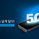 블루버드 이미지