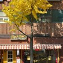 베스트타운빌딩 | 서울 | 미국 디저트 퍼지 맛집 개포동 퍼지타운