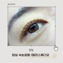 잠실속눈썹 젤라스튜디오 속눈썹펌 후기 미대출신 대표원장 1:1 맞춤