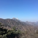 산유화다방