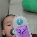 만두;찐빵;오뎅 이미지