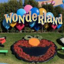 동동게임스튜디오 | [오사카] N번째 유니버셜 스튜디오, 어트랙션 추천(feat.동키콩의 크레이지 트램카)