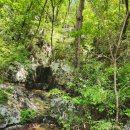 숲속이야기 | 금산산림문화타운 가족여행 후기 | 숲속 힐링과 풍경 이야기 🌲, 아재 감성으로 풀어본 숲속 하루